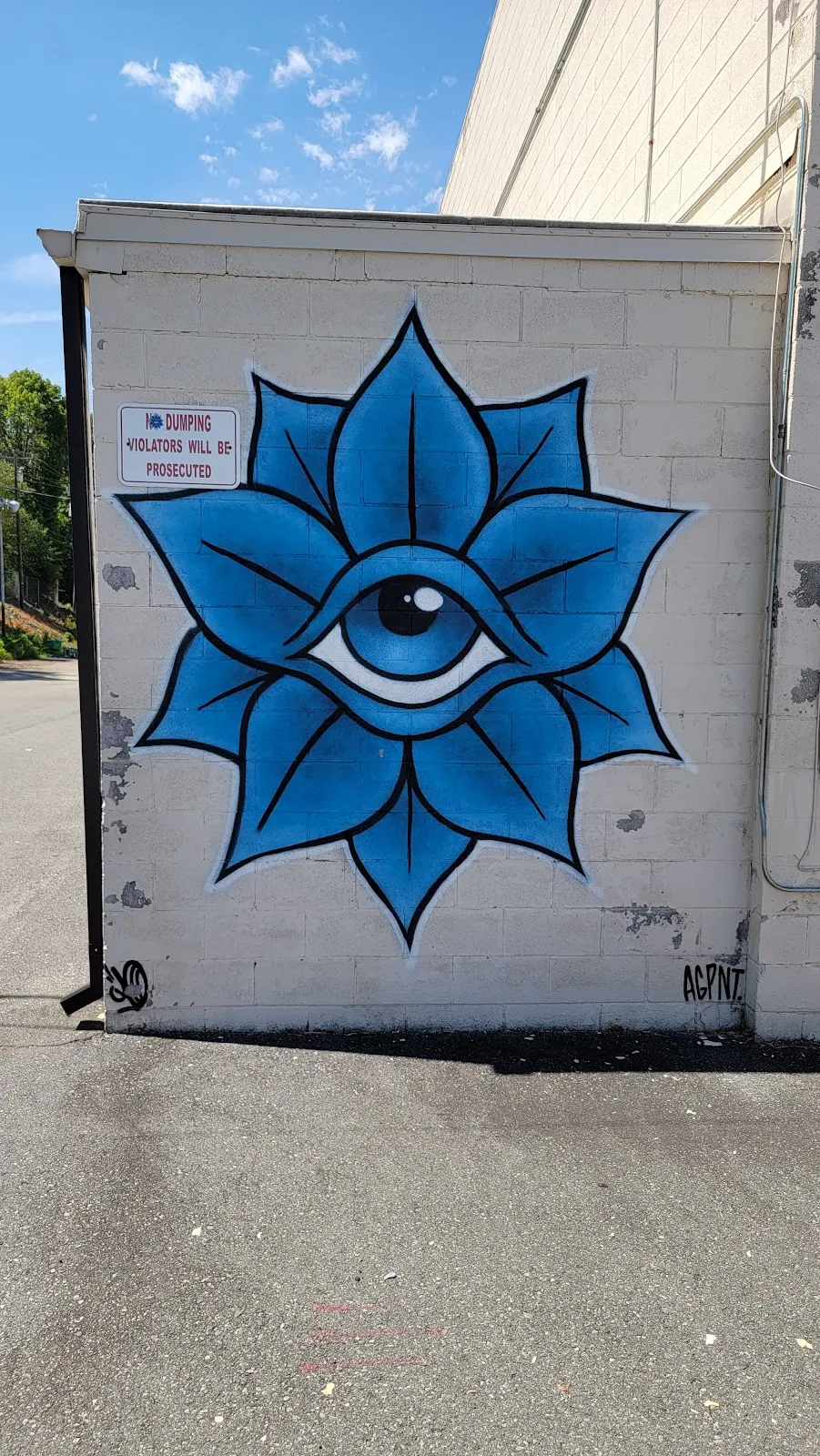 Eden Murals - Graffiti of Eden