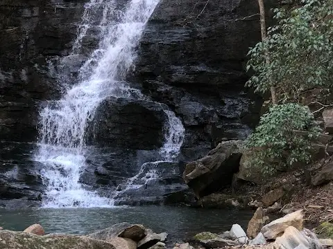 Reedy Branch Falls Trailhead