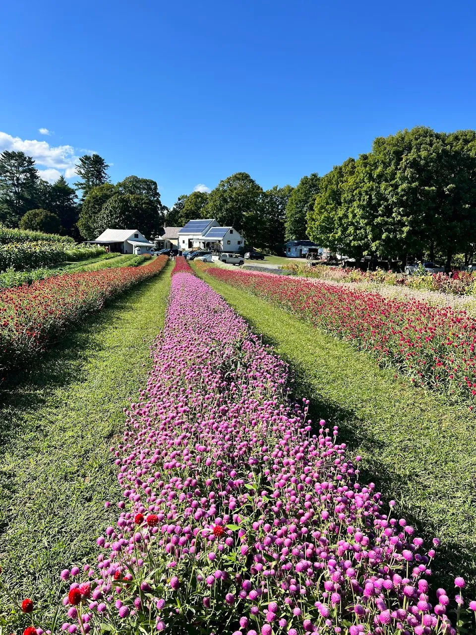 Riverview Farm