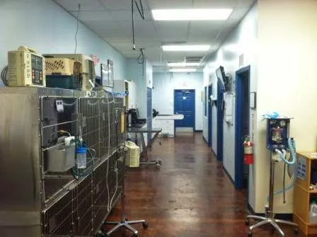 Atlantic Animal Hospital – Port Orange