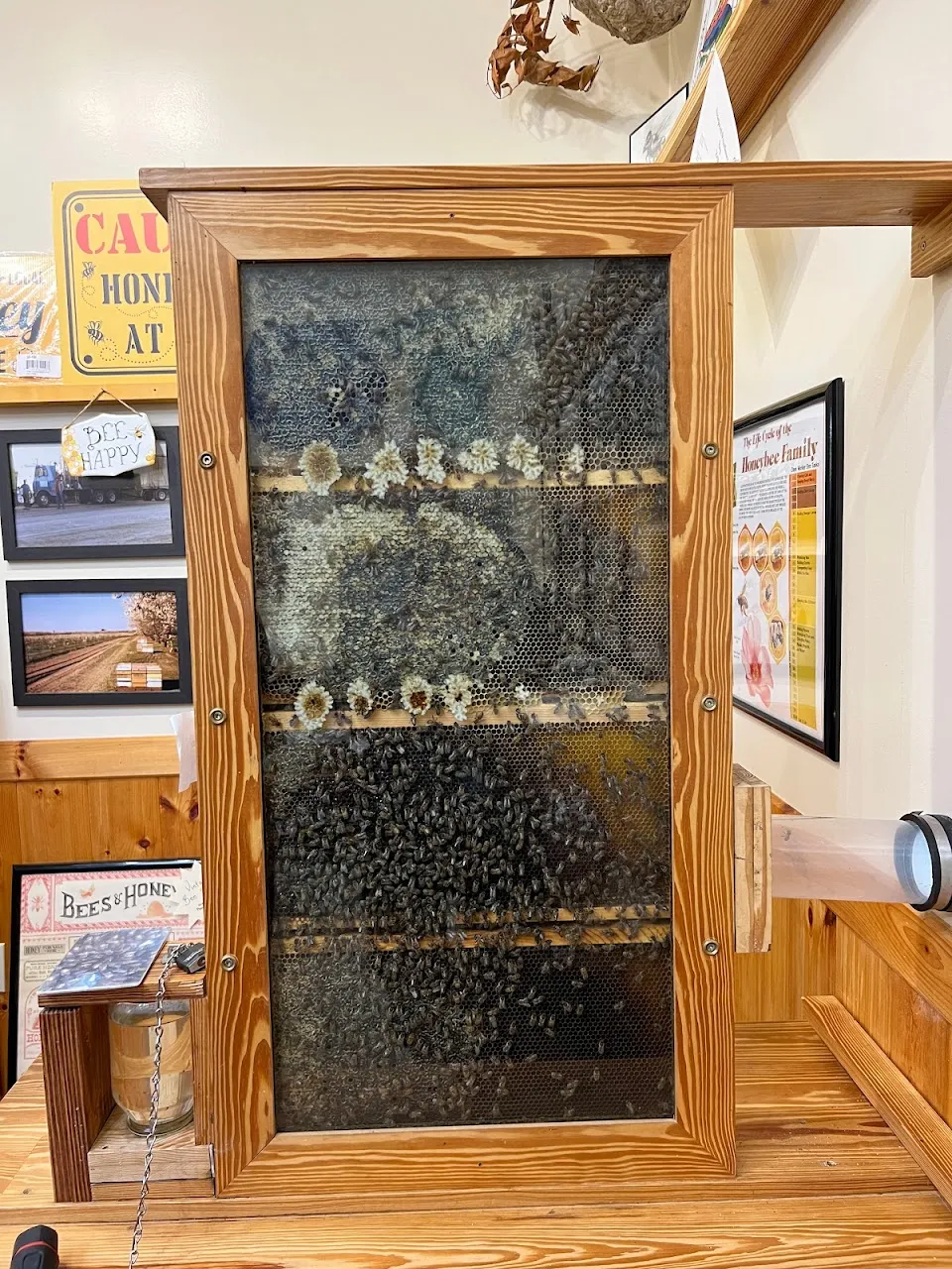 Blue Ridge Honey Company