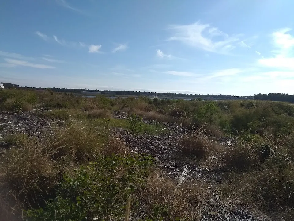 Charleston