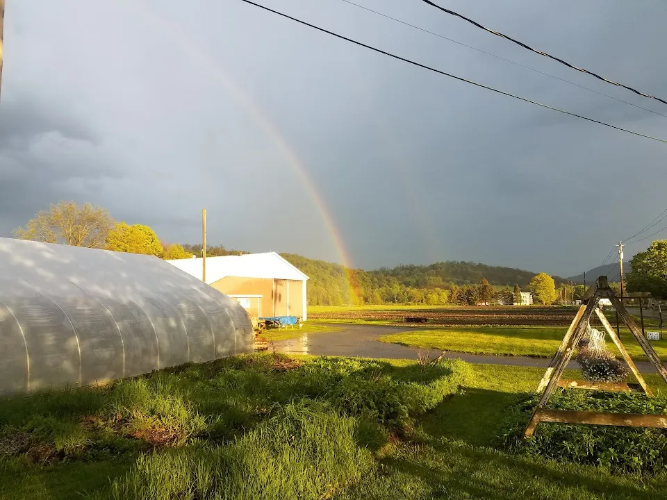 MAWS Farm