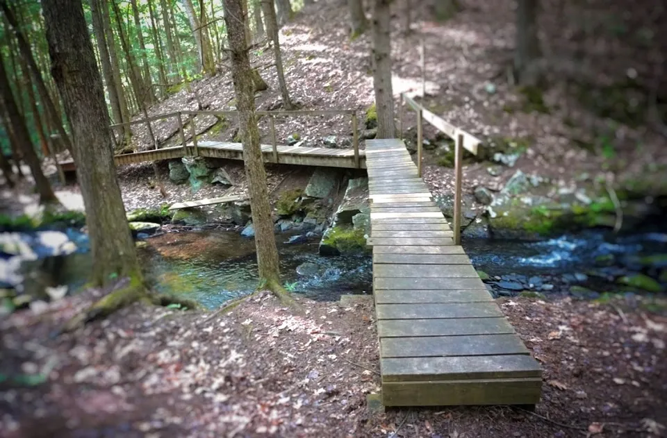 Ceda-T Trail