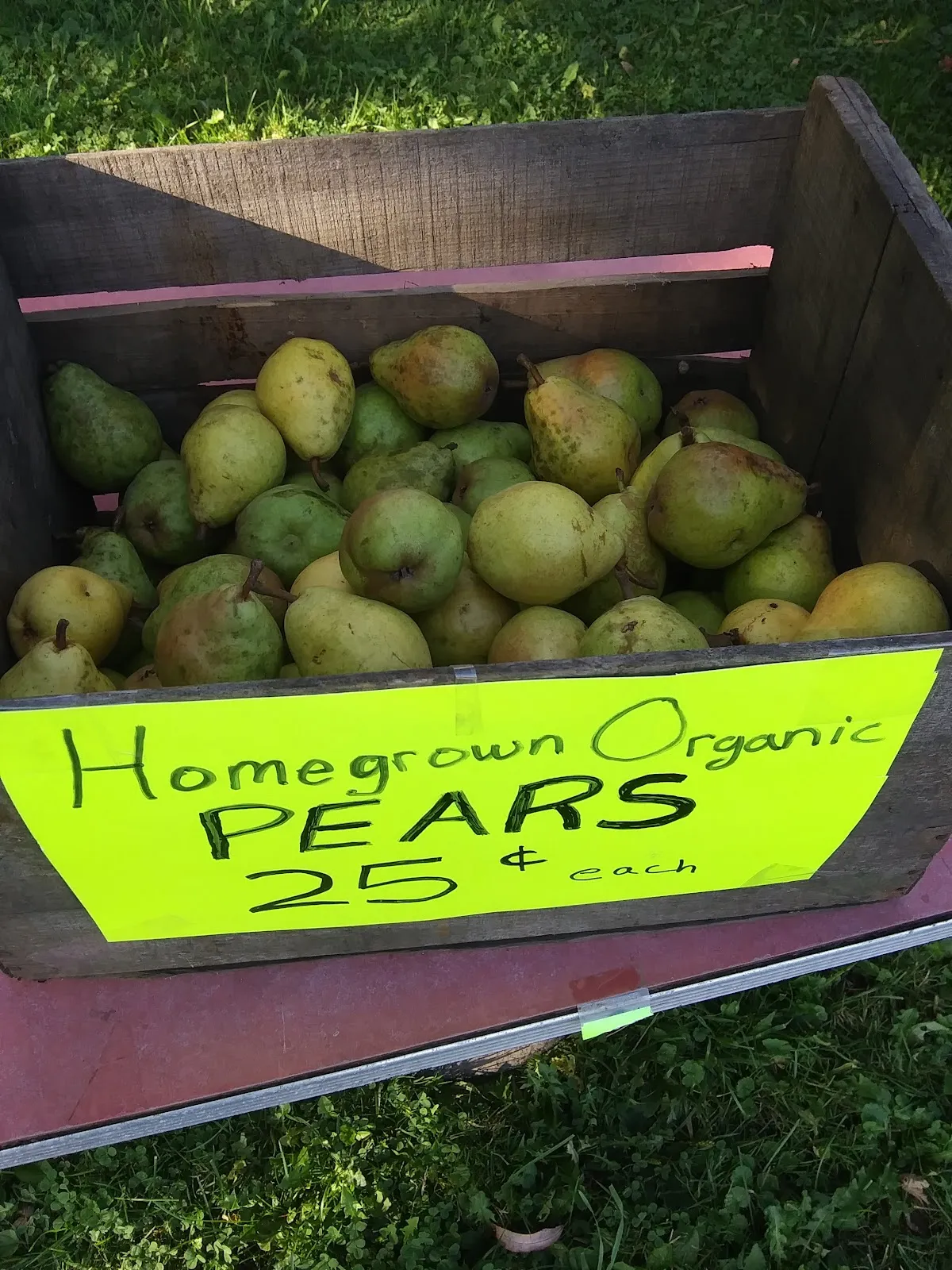Blue Star Farm & Cidery