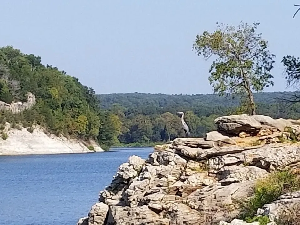 Pettit Bay