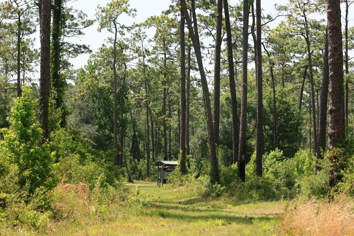Big Pine Environmental Area