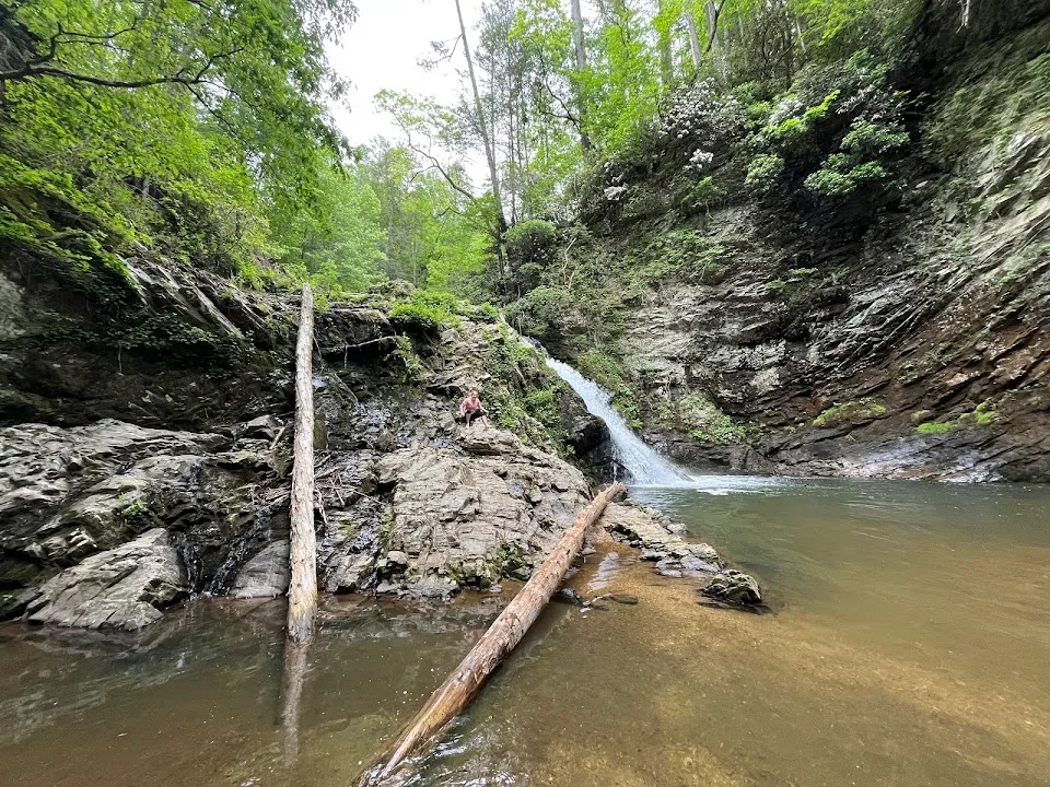 Brasstown Falls Trailhead