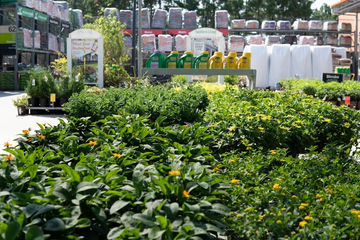 Garden Center at The Home Depot