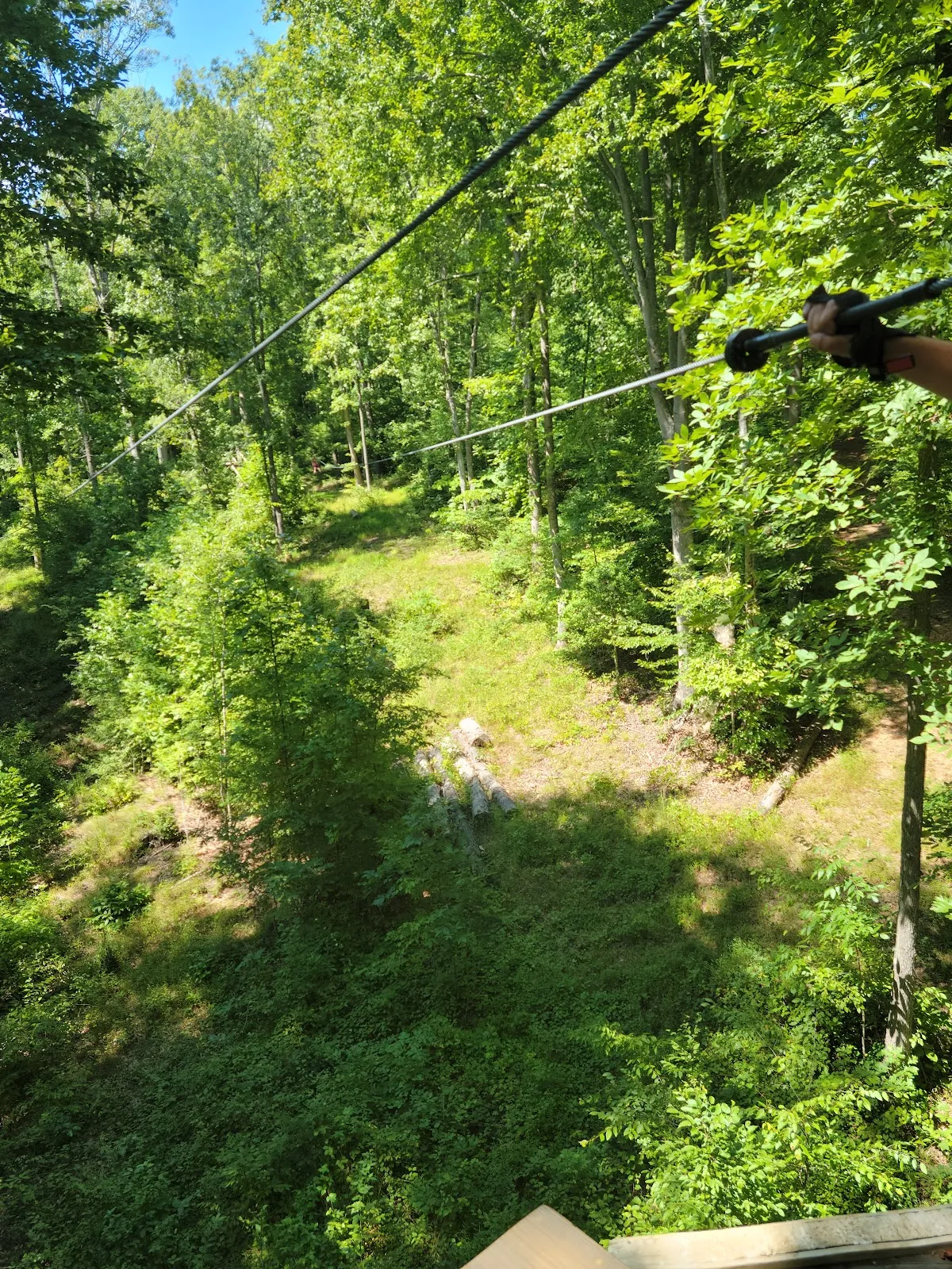 Carolina Ziplines Canopy Tour