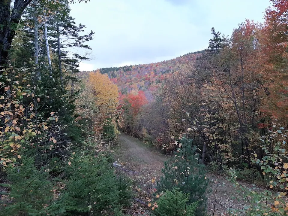 Grantham Town Forest Trailhead