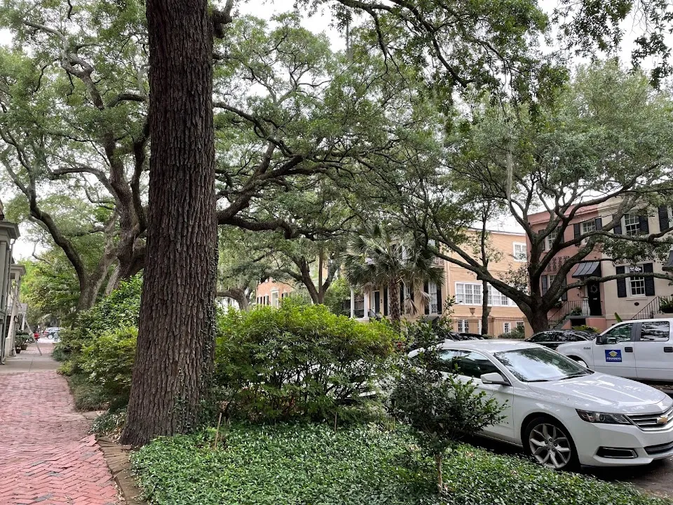 Savannah Historic District