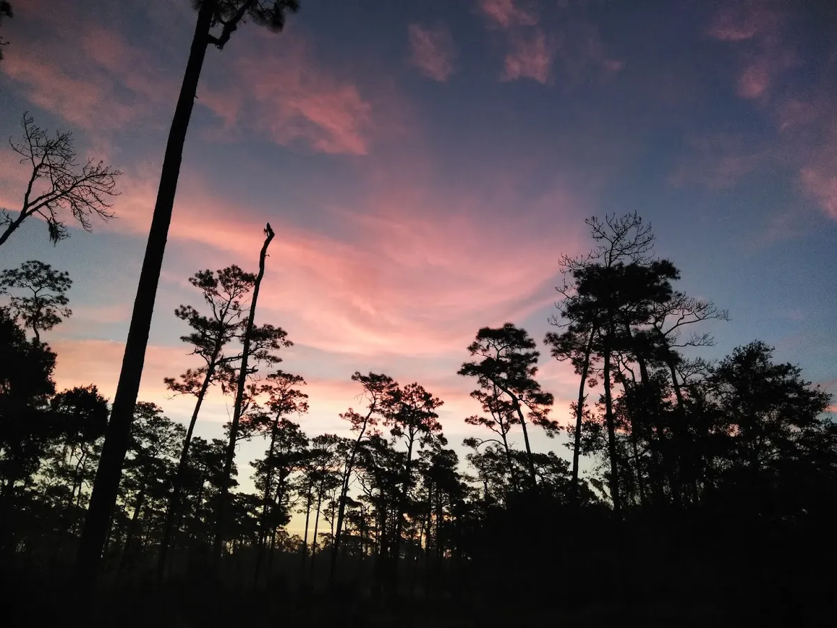 Big Pine Environmental Area
