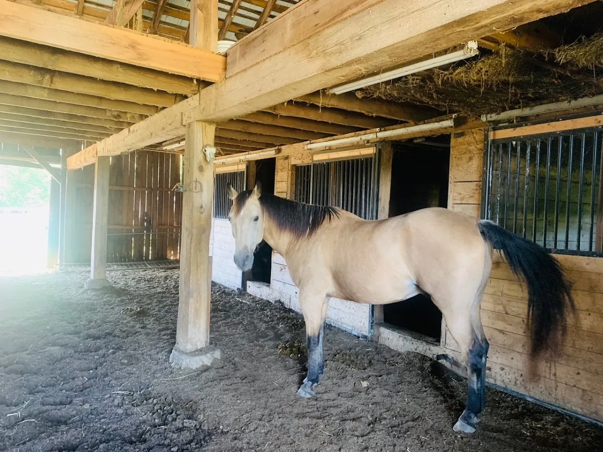 Serenity Ridge Farms, LLC