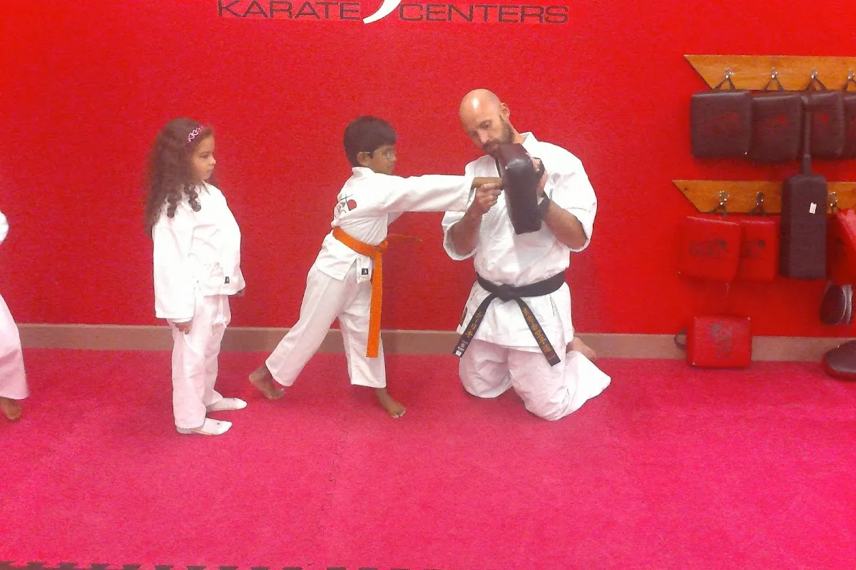 The Dojo American Karate Centers