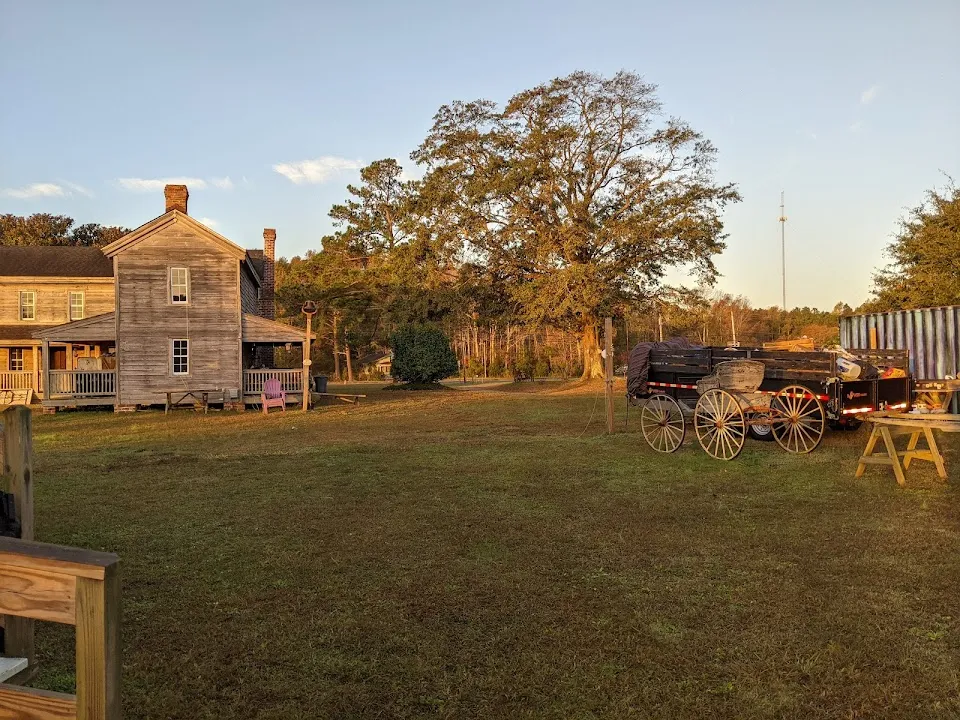 Historical McHorneys Odditorium