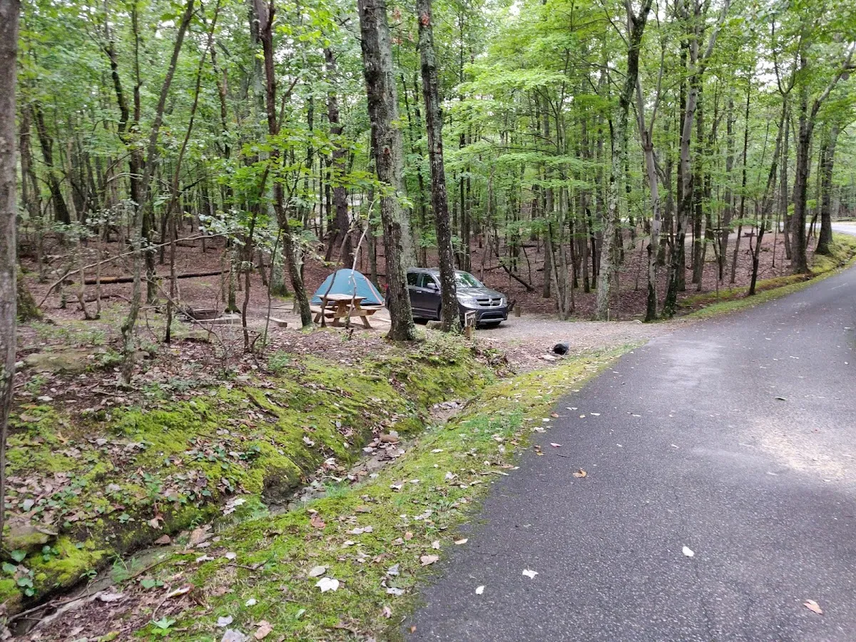 Hanging Rock State Park Campground