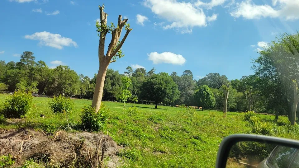 Irish Acres Farm