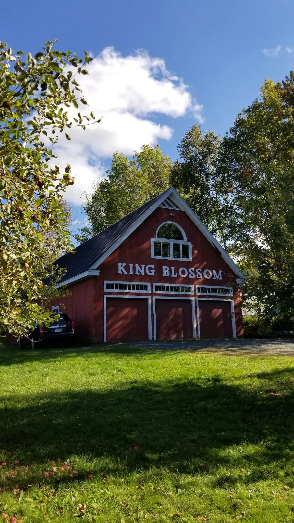 King Blossom Farm
