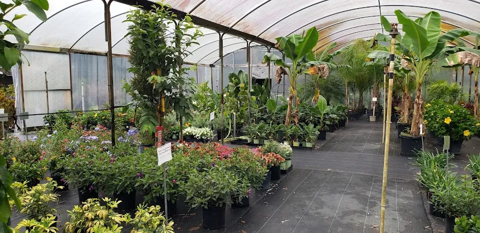 Pell's Citrus & Nursery