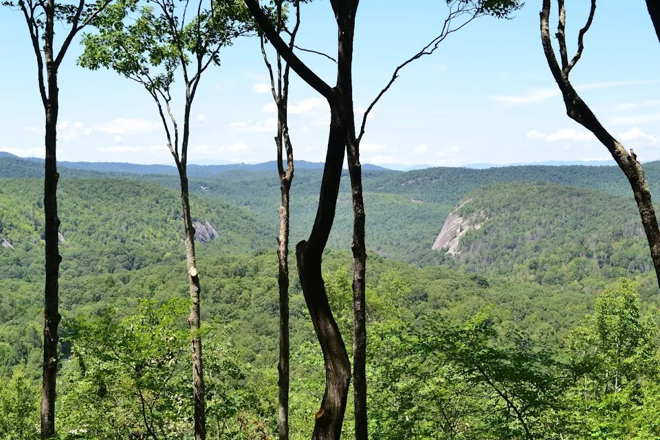 Sapphire Valley Real Estate & Rentals