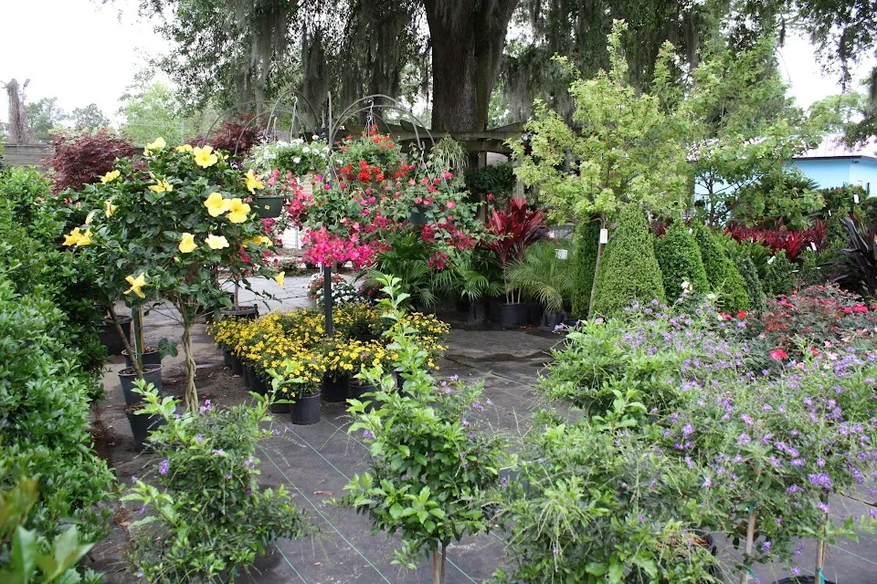 Fancy Plants Inc.