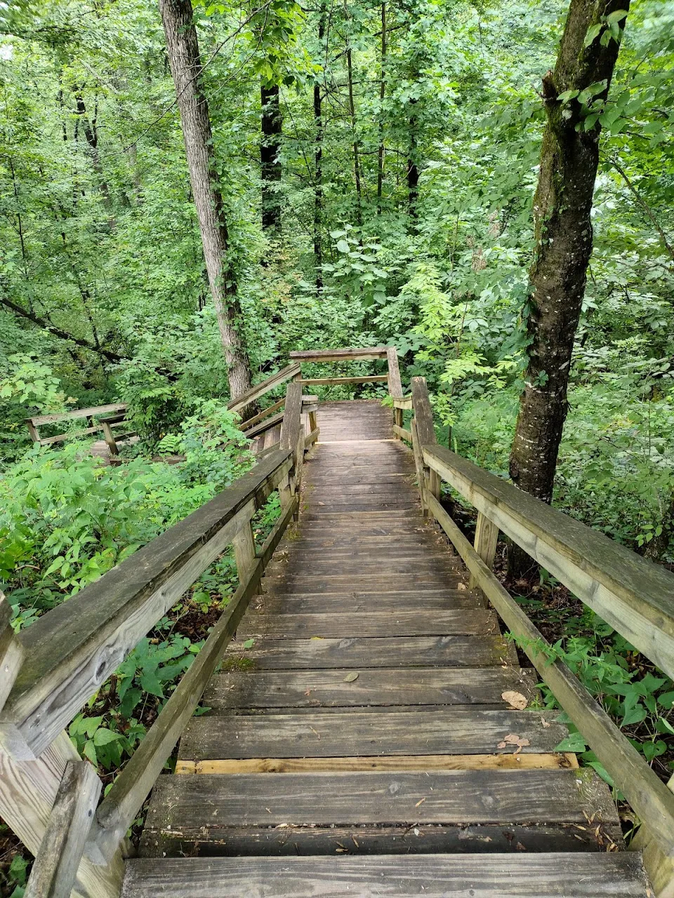 Ada-Hi Falls Trail