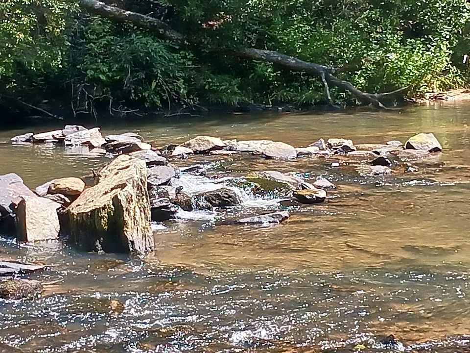 Grapevine Campground