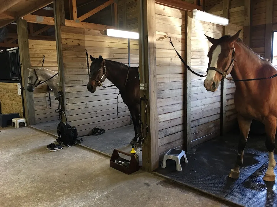 Winding Oaks Equestrian Center