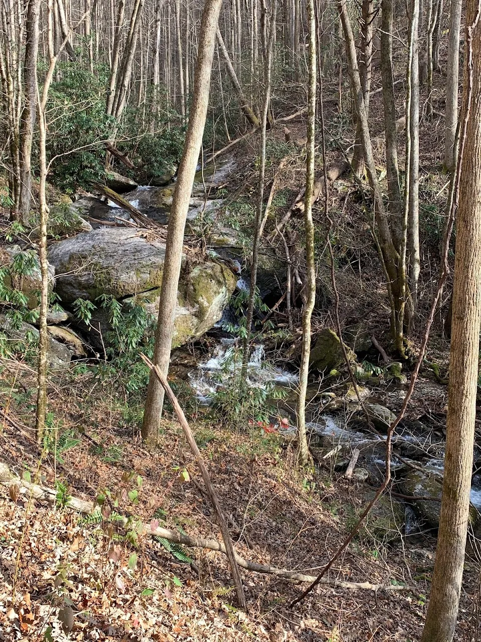 Denton Creek