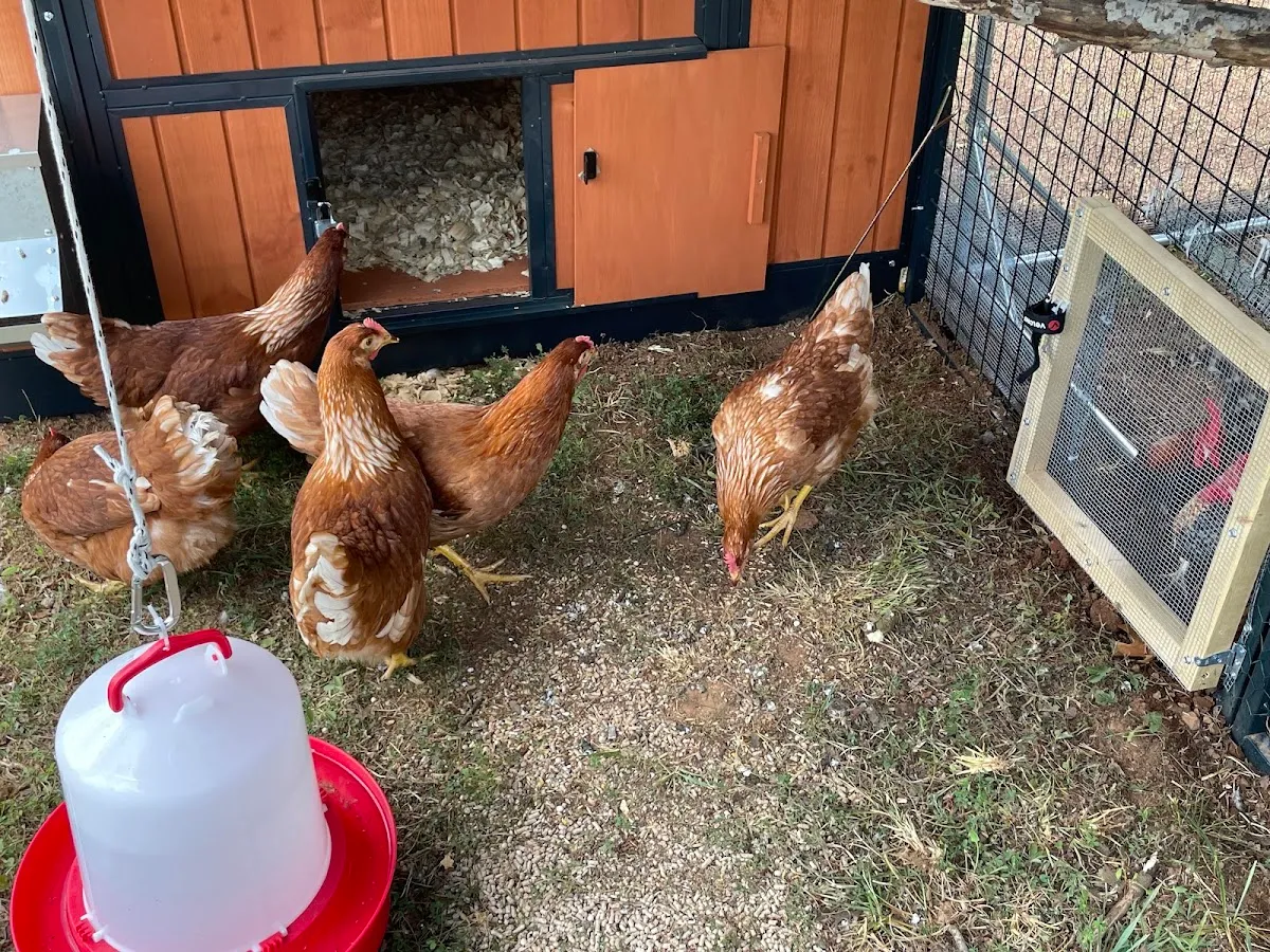 Rockin' S Farm, LLC