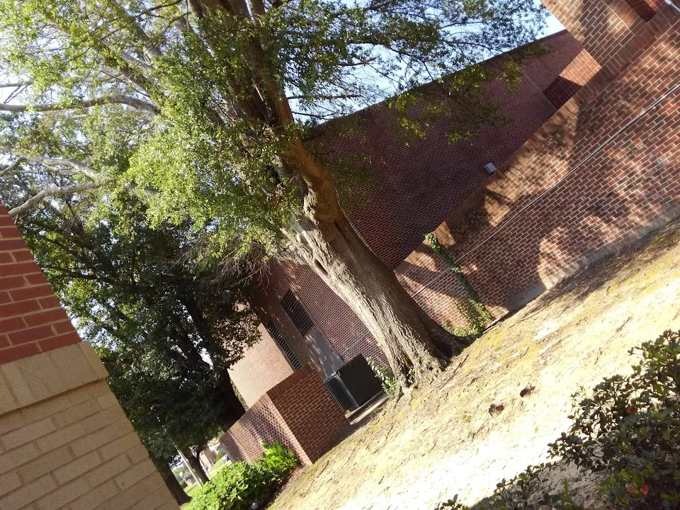 I.P. Stanback Museum & Planetarium