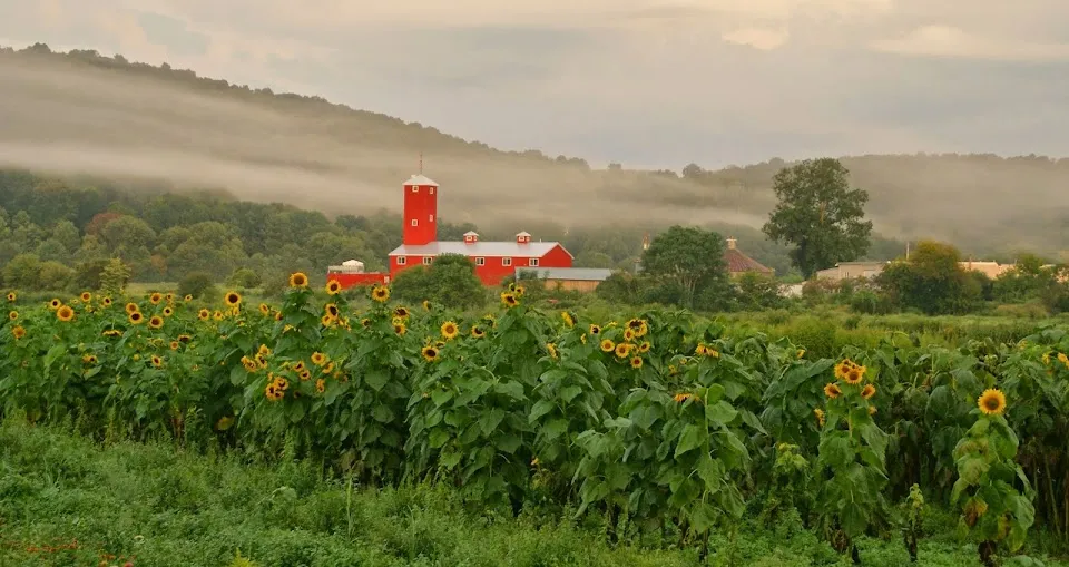 Black Dirt Distillery