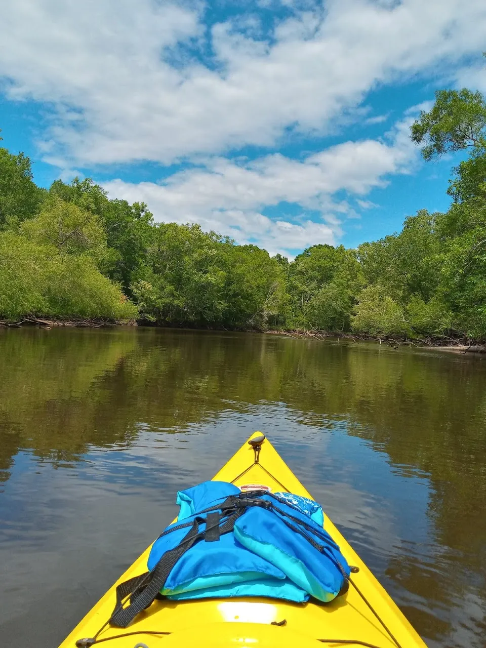 Edisto River