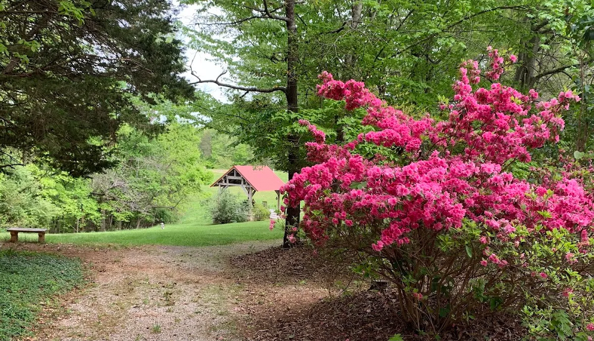 Medley Meadows, Inc.