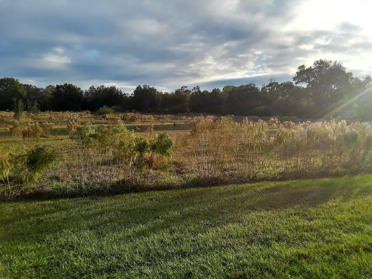 Ridge Manor Community Park