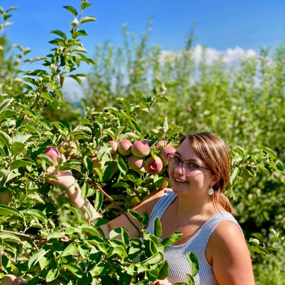 Apple Dave's Orchards