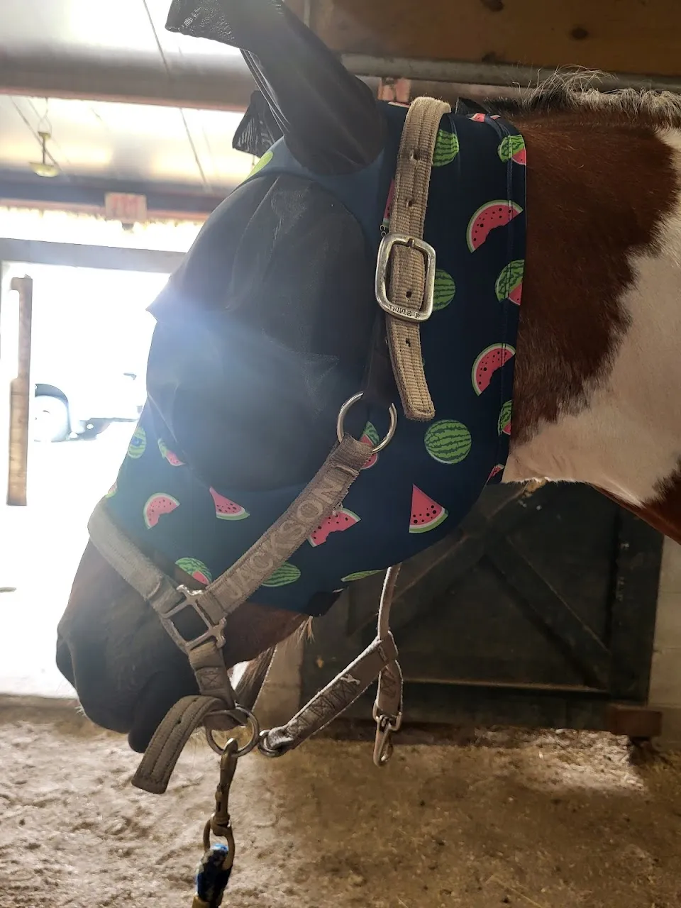 Legacy Farms LLC