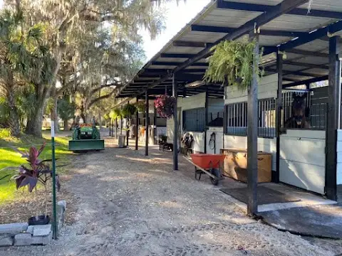 Canter Down Farms