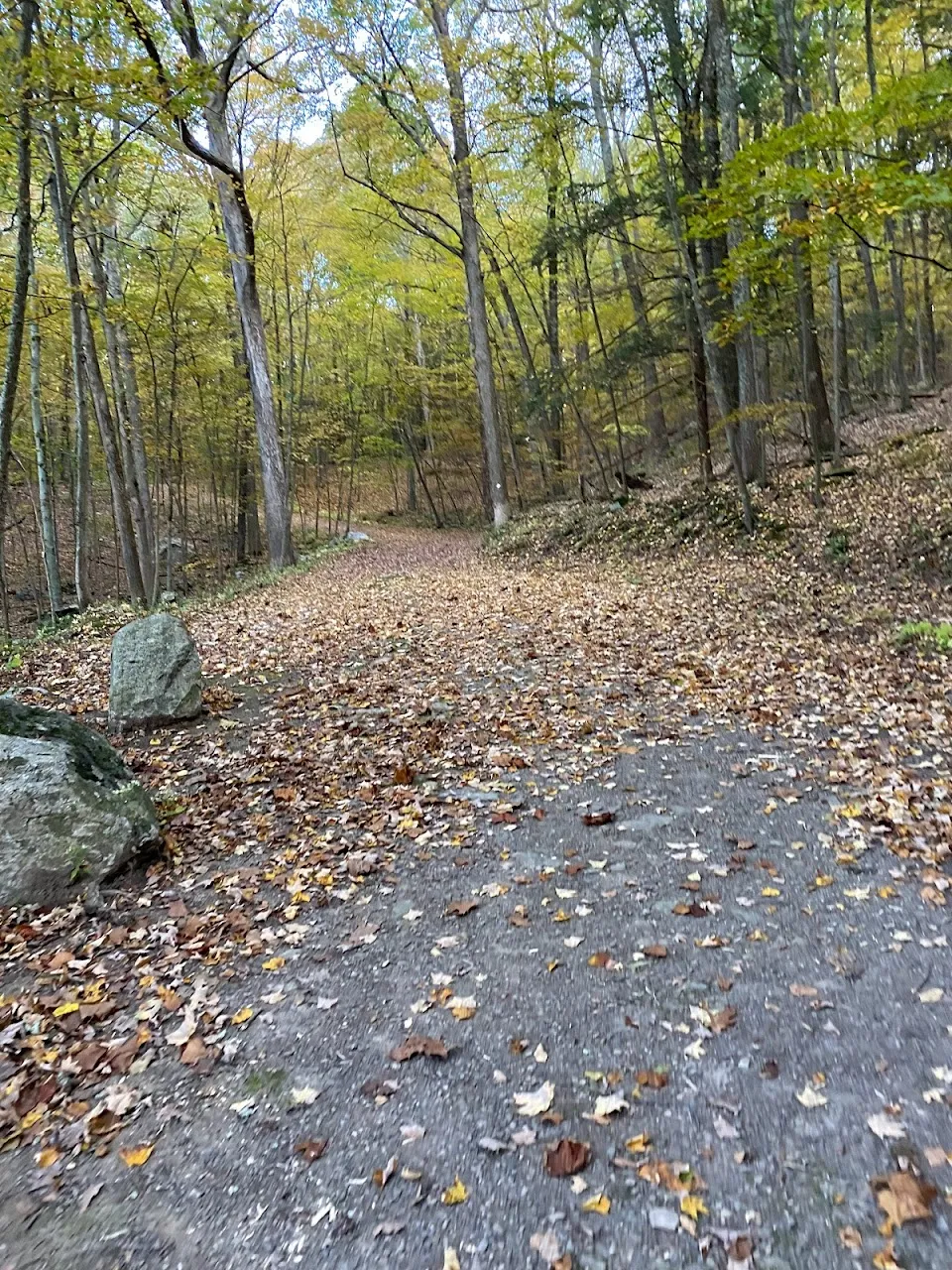 Winding Hills County Park