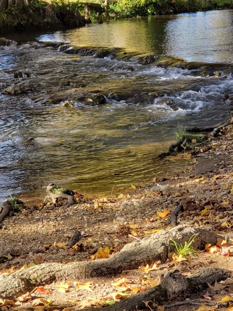 Sequoyah City Park