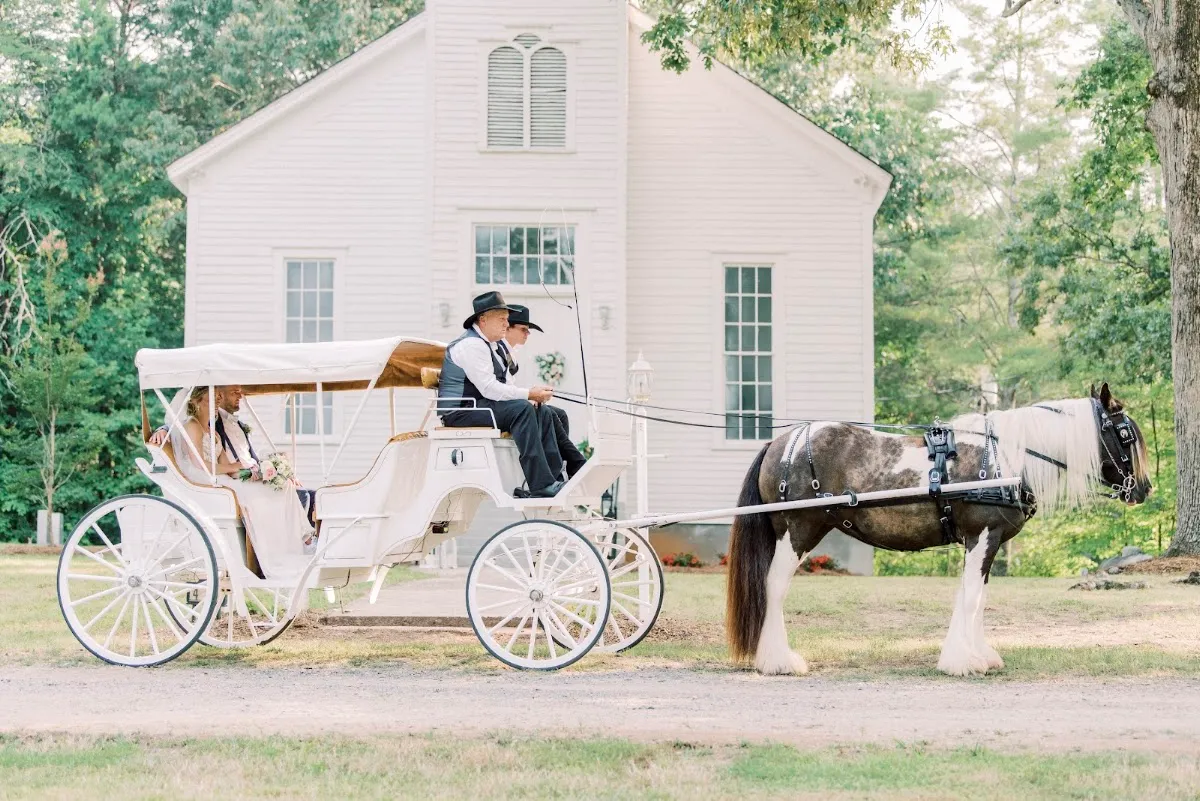 Dorvit's Camel City Carriage Rides