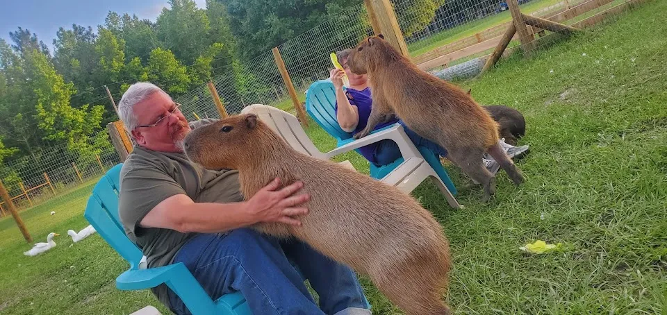 Country Kingdom Petting Farm