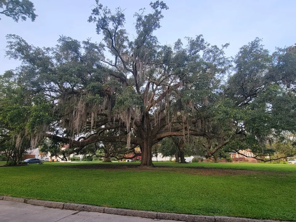 McCauley Park