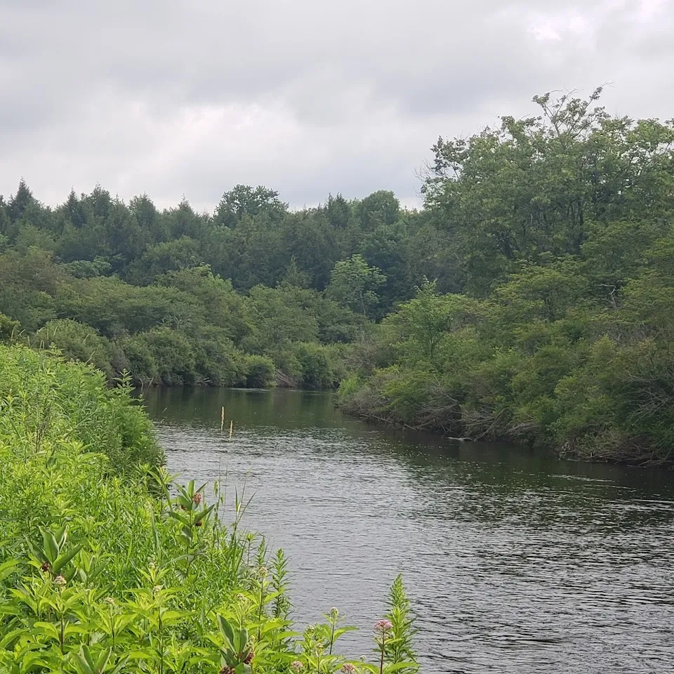 Spruce Creek Campground