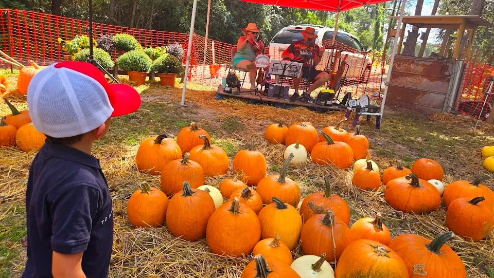 The Pumpkin Patch At Mistletoe Lane’s