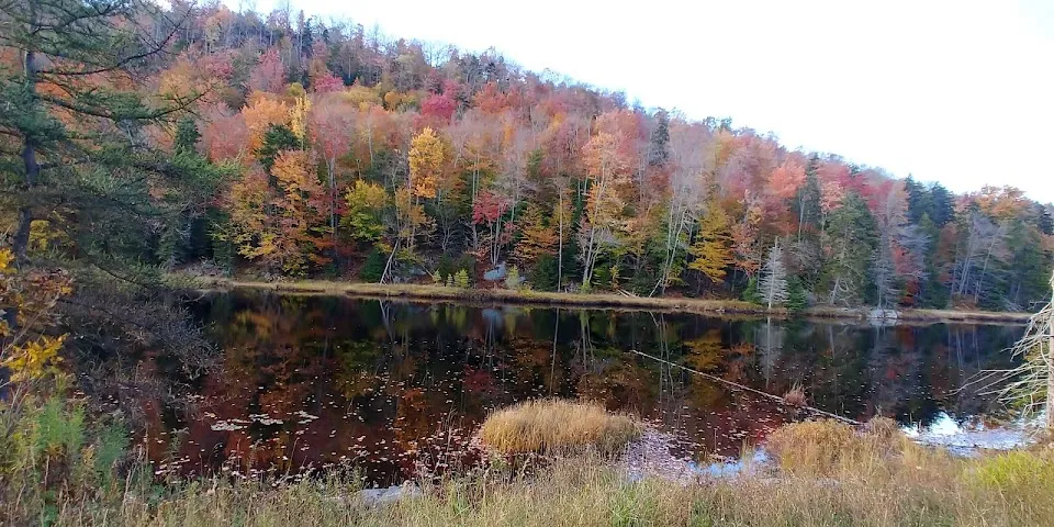 Bald Mountain Pond
