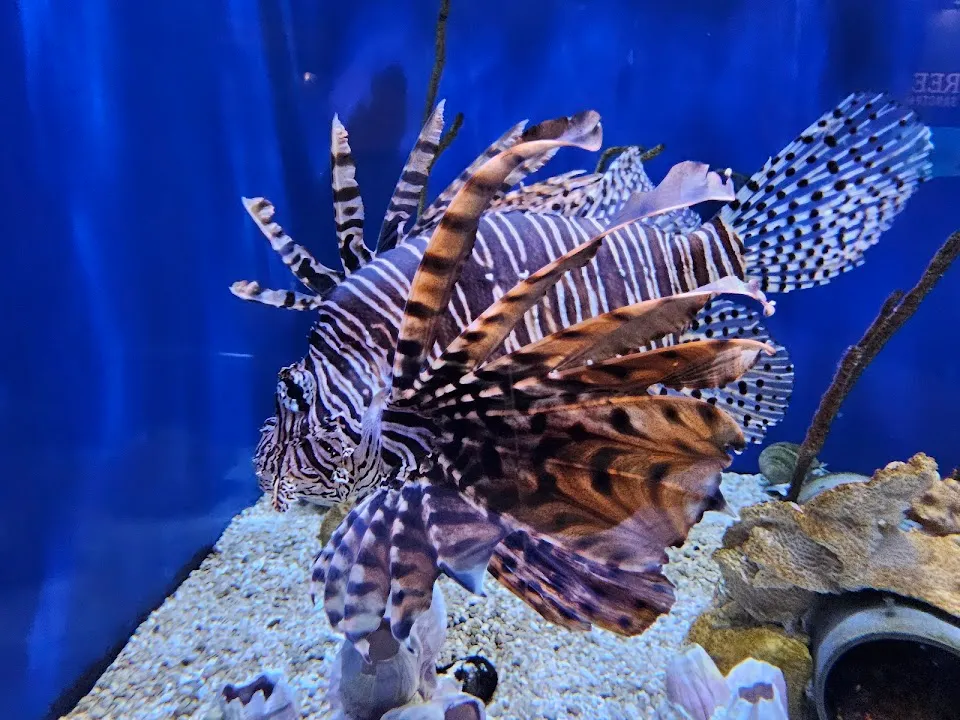 UGA Marine Education Center and Aquarium