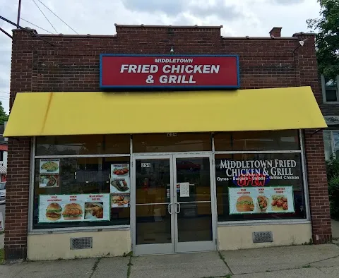 MFC Gyro & Grill Halal
