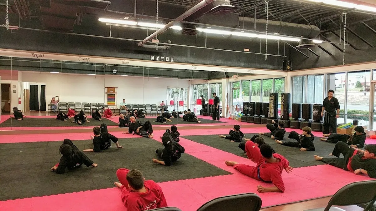The Dojo American Karate Centers